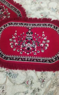 پادری
