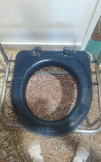 توالت فرنگی
