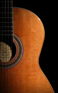 آموزش تخصصی گیتار