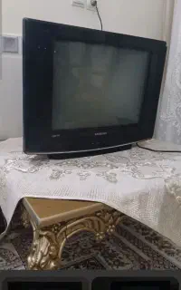 تلوزیون