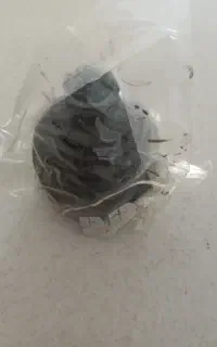 گردگیر پلوس ماکسیما