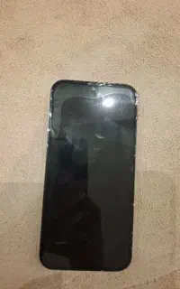 13 pro max