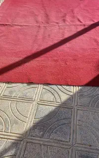 موکت