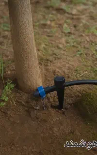 آبیاری قطره ای،آبیاری اتوماتیک،آبیاری هوشمند