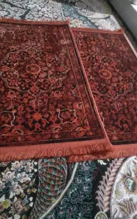 پادری