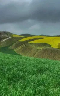 شخم زمین های کشاورزی