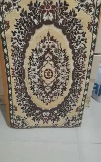 یک جفت پشتی کرمی