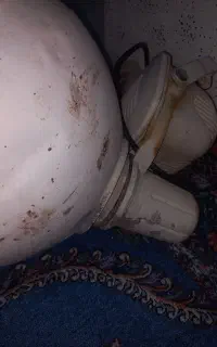 پروژکتور بزرگ و پر نور