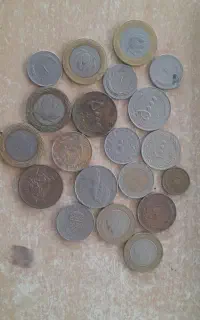 تعداد ۲۰ عدد سکه
