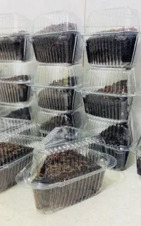 کیک مدرسه