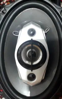 ۲ عدد باند کاروزریا