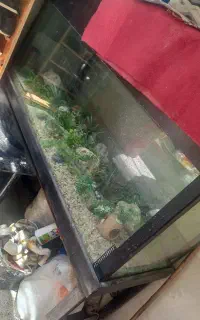 اکواریوم باتمام وسایلش
