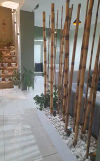 استخدام سالن کار خانم