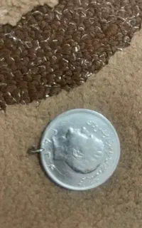 سکه شاهنشاهی