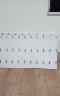 قفسه رگال