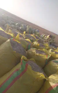 کاه کاهکوب