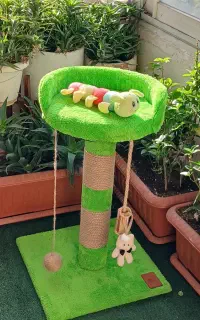 اسکرچر گربه