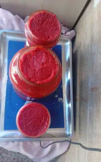 رب خانگی
