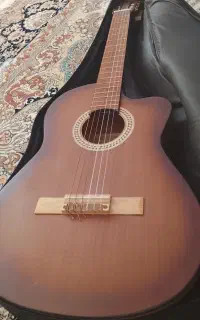 گیتار ایرانی