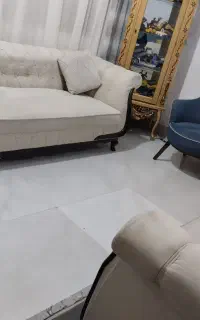 فروش ف و ری تا فردا شب نخل سبز