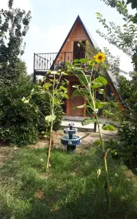 کلبه سوئیسی ترتمیز