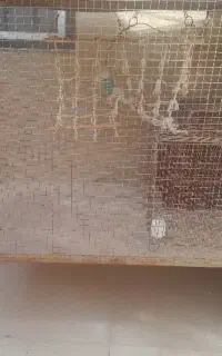 قفس پرنده