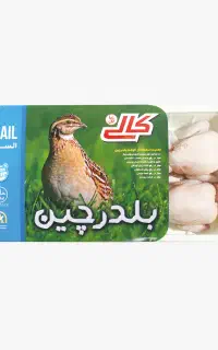 پخش محصولات پروتئینی