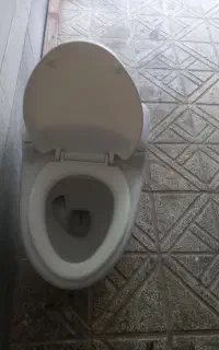 توالت فرنگی
