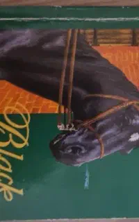 رمان انگلیسی black beauty