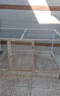 قفس پرنده