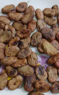 باقله