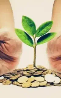 نیاز به سرمایه ۲۰ میلیون