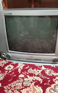 تلویزیون