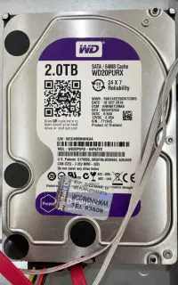 هارد وسترن بنفش 2TB اورجینال