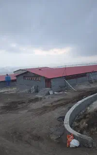 کار در مرغداری
