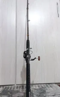 لنسر ماهیگیری