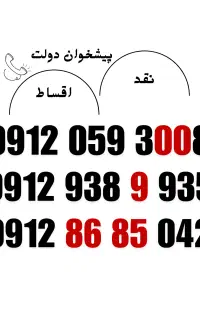 09120593008