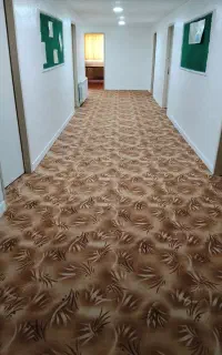 نصاب موکت