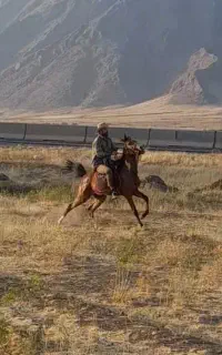 اسب دره شوروی
