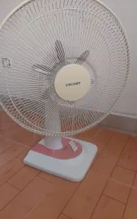 پنکه