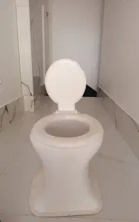 توالت فرنگی