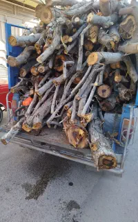 تیلر زنی. سمپاشی.و کلیه خدمات کشاورزی در باغ