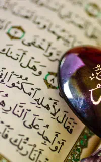 کتاب و امورات مذهبی
