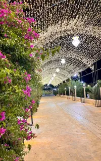 ریسه سوزنی ۵۰متری نور آفتابی