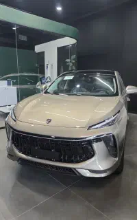 لاماری ایما خاکستری ۱۴۰۴