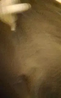 سیم کارت رند ایرانسل