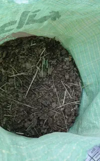 بار گوسفندی