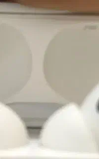 ارپاد