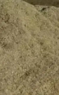 کاه لوبیا درجه یک
