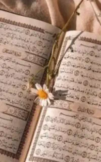 کتاب رایگان